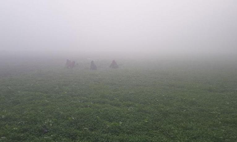 দেশের সর্বনিম্ন তাপমাত্রায় কাঁপছে পঞ্চগড়