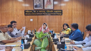 কোরবানির পশুর বর্জ্য অপসারণে পরিবেশ মন্ত্রণালয়ের আহ্বান