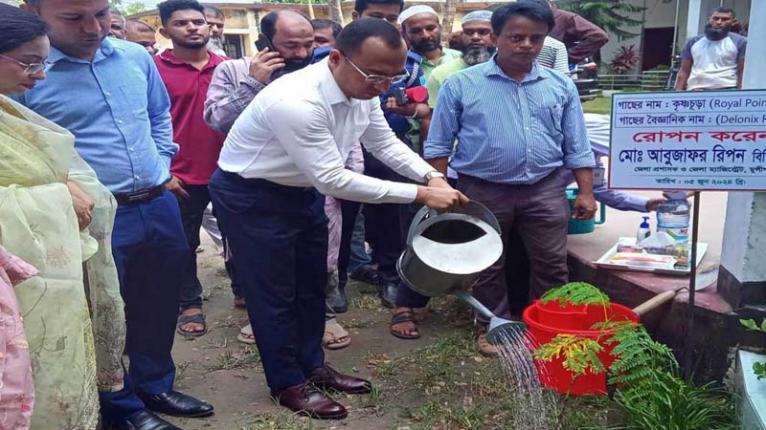 মুন্সীগঞ্জে ১ লাখ ৪১ হাজার ৬৮০ বৃক্ষরোপণ কর্মসূচি