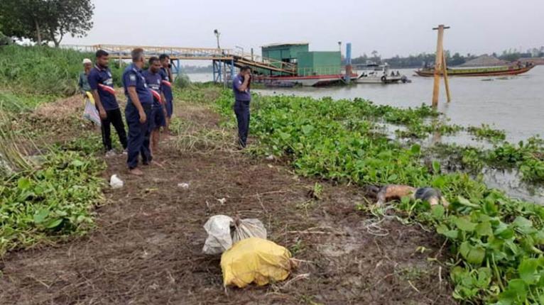 নারায়ণগঞ্জে নদীতে মিলল ইট বাঁধা অজ্ঞাত মরদেহ