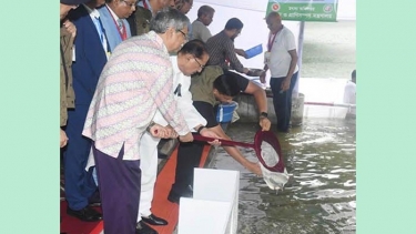 বঙ্গভবনের পুকুরে মাছের পোনা অবমুক্ত করলেন রাষ্ট্রপতি