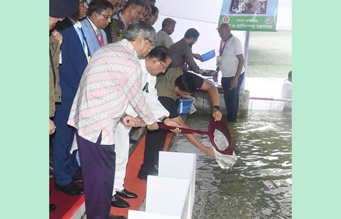 বঙ্গভবনের পুকুরে মাছের পোনা অবমুক্ত করলেন রাষ্ট্রপতি