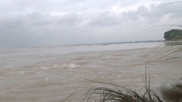 হু হু করে বাড়ছে পদ্মার পানি, আতঙ্কের কিছু নেই জানাল পাউবো