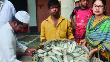 নোয়াখালীতে ৬৫ কেজি ইলিশ জব্দ, গেলো এতিমখানায়