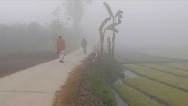 দেশের সর্বনিম্ন তাপমাত্রায় কাঁপছে চুয়াডাঙ্গা