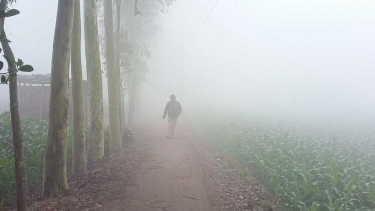 রংপুর ঘন কুয়াশা আর কনকনে ঠান্ডায় বিপর্যস্ত জনজীবন