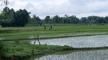 যুক্তরাজ্যের নতুন প্রধানমন্ত্রী বার্নহামের মন্ত্রিসভায় বড় রদবদল
