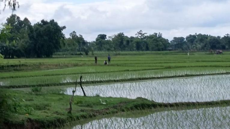 যুক্তরাজ্যের নতুন প্রধানমন্ত্রী বার্নহামের মন্ত্রিসভায় বড় রদবদল