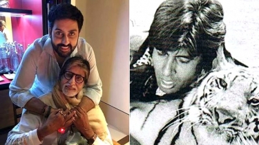 ছেলের জন্মের খবর শুনে বাঘের সঙ্গে লড়াইয়ে অমিতাভ বচ্চন