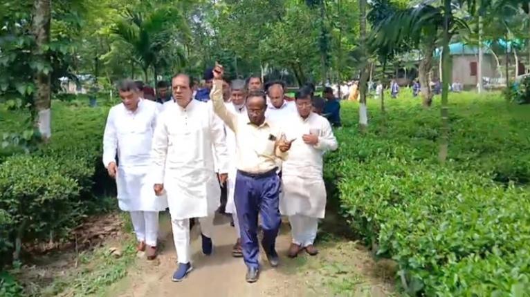 চা-চাষ লালমনিরহাটে সম্ভাবনার নতুন দিগন্ত উন্মোচন করেছে: ত্রাণমন্ত্রী