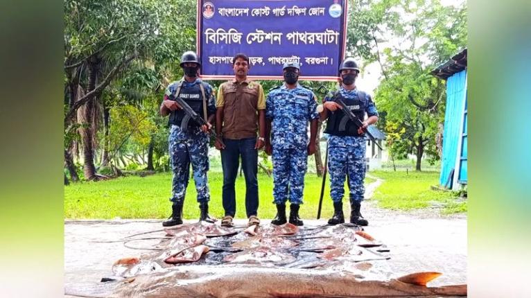 বরগুনায় ১৭ লাখ টাকা মূল্যের শাপলা পাতা ও গিটার মাছ উদ্ধার