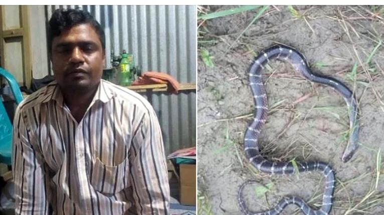 দাঁড়াশ ভেবে কালাচ ধরতে গিয়ে সাপের দংশনে প্রাণ গেল ওঝার