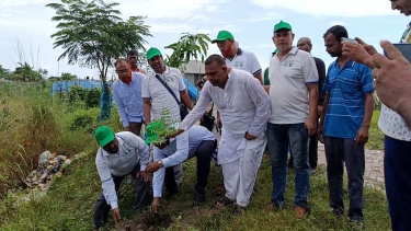 চরভদ্রাসনে ৬০০ তালবীজ রোপণ ও ৫০০ বৃক্ষের চারা বিতরণ