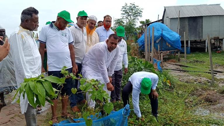 চরভদ্রাসনে ৬০০ তালবীজ রোপণ ও ৫০০ বৃক্ষের চারা বিতরণ
