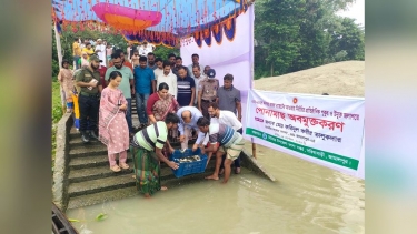 সরিষাবাড়ীতে জলাশয়ে পোনামাছ অবমুক্তকরণ কার্যক্রমের উদ্বোধন