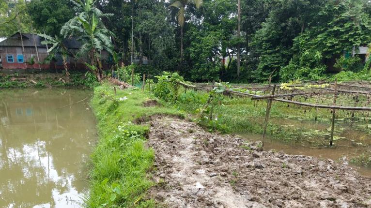 সরিষাবাড়ীতে পৈতৃক জমি ও পুকুর দখলের চেষ্টা, প্রাণনাশের হুমকি, থানায় অভিযোগ