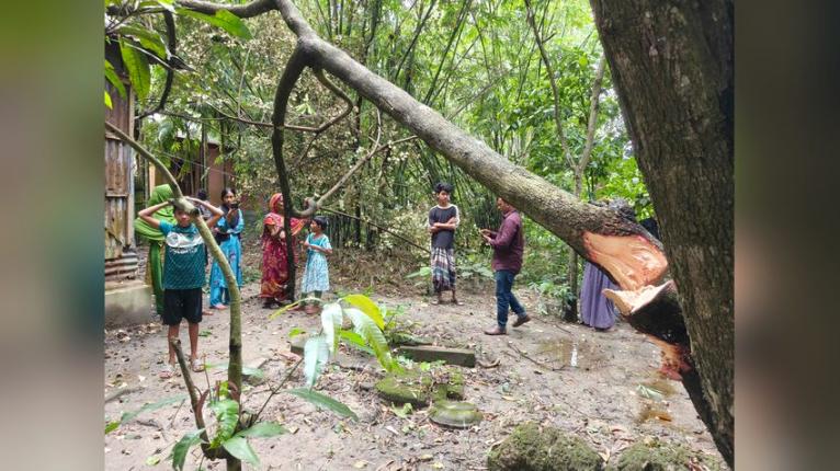 সরিষাবাড়ীতে জমি সংক্রান্ত বিরোধে স্কুলছাত্রীকে পিটিয়ে জখমের অভিযোগ