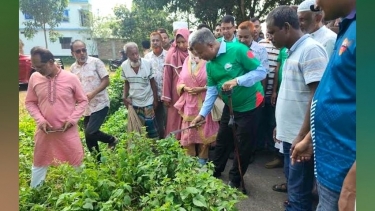 ডেঙ্গু প্রতিরোধে মশক নিধনের পাশাপাশি পরিচ্ছন্ন পরিবেশ জরুরি: জনপ্রশাসন ও খাদ্য প্রতিমন্ত্রী