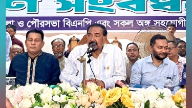 ইশরাক কাজটা ভালোই করেছে, তবে হাতে অস্ত্র নেওয়া ঠিক হয়নি : স্পিকার